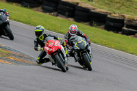 PJ-Motorsport-2019;anglesey-no-limits-trackday;anglesey-photographs;anglesey-trackday-photographs;enduro-digital-images;event-digital-images;eventdigitalimages;no-limits-trackdays;peter-wileman-photography;racing-digital-images;trac-mon;trackday-digital-images;trackday-photos;ty-croes